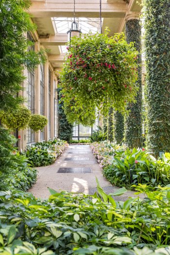 Historic Main Conservatory | Longwood Gardens